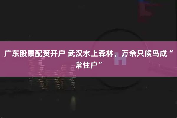 广东股票配资开户 武汉水上森林，万余只候鸟成“常住户”